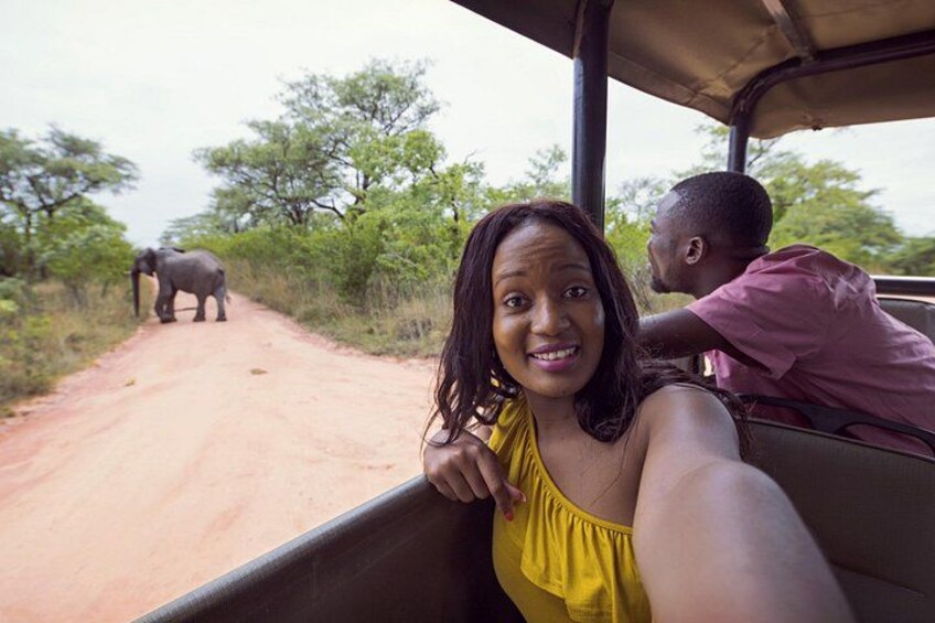 A vehicle on a dirt road with elephants in the background. 3