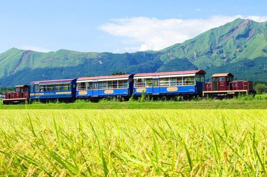 Kyushu: Aso Vocano, Grassland,Onsen and Aso shrine 1-Day Tour 2