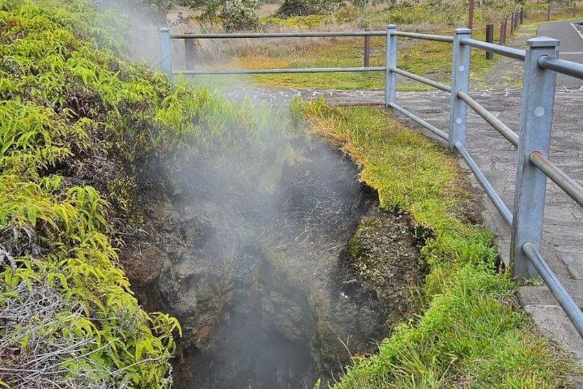 A steam venting from a ground opening surrounded by vegetation. 2