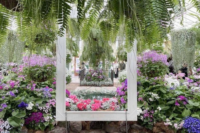 Un jardin avec une balançoire, entouré de différentes fleurs et plantes. 2