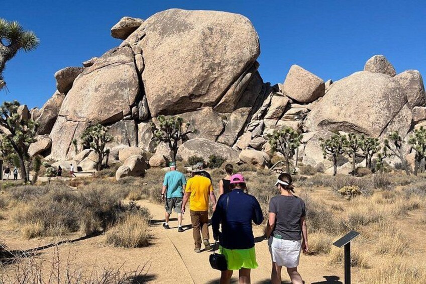 A group of people hiking on a trail surrounded by large boulders and desert vegetation. 5