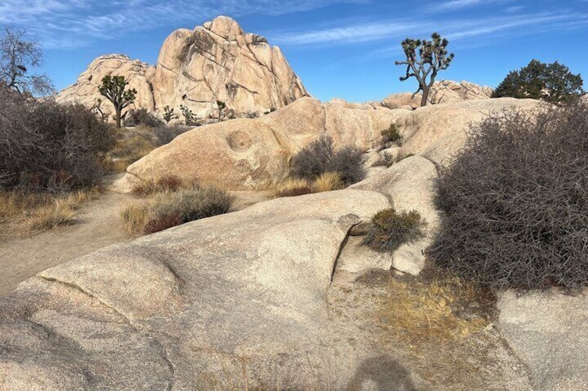 A desert landscape with large rock formations, sparse vegetation, and a clear sky. 2