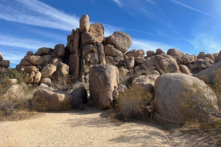 Joshua Tree National Park Sightseeing Adventure Tour 2