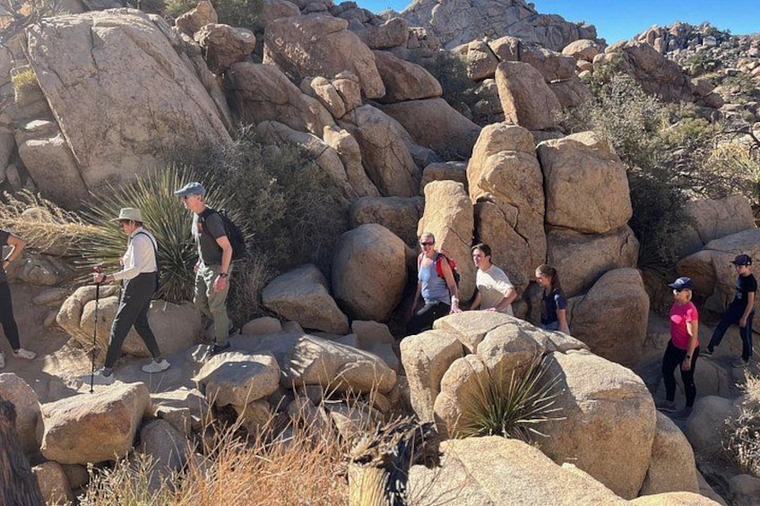 Joshua Tree National Park Sightseeing Adventure Tour 2