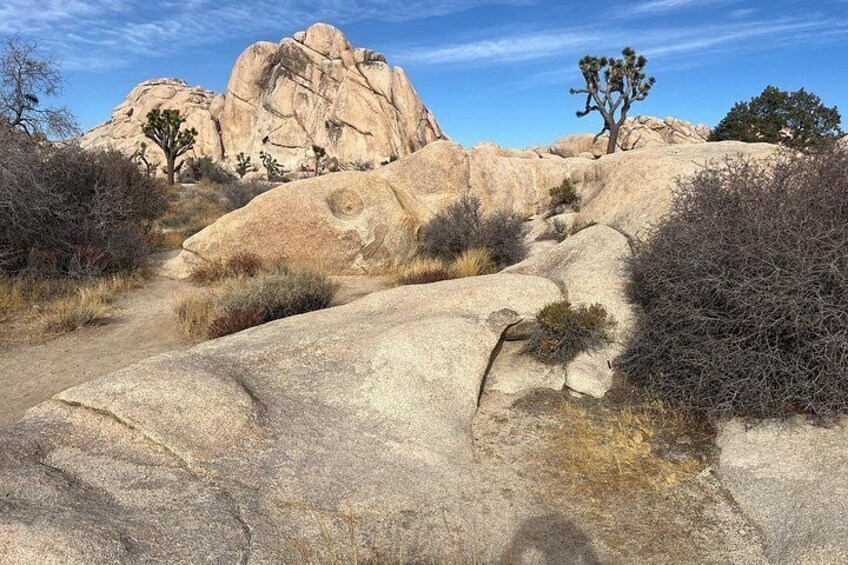 Joshua Tree National Park Sightseeing Adventure Tour 2