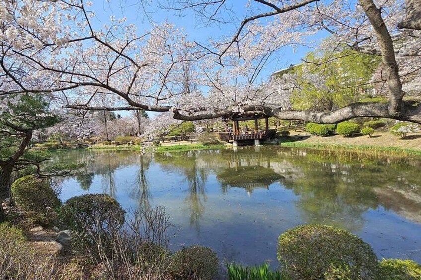 Private World Heritage Gyeongju Taxi Tour 5