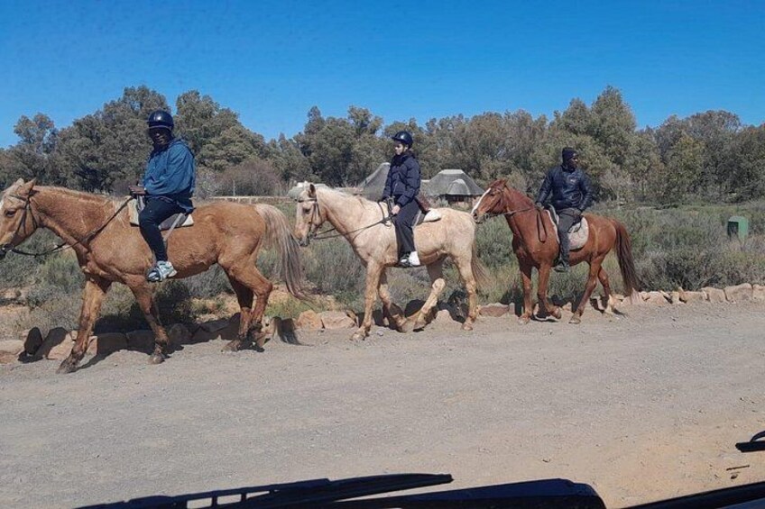 Three people riding horses on a dirt road with trees in the background. 4