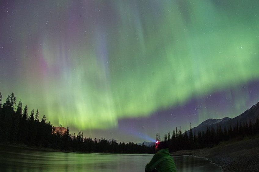Una persona con una chaqueta verde observando las auroras boreales sobre un paisaje boscoso. 4