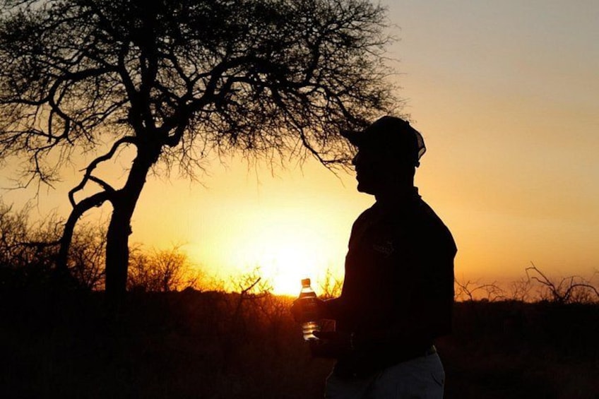 Unforgettable Big 5 Sunset Safari in Hoedspruit 3