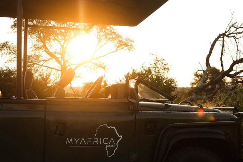 A safari vehicle with the logo 'MYAFRICA SAFARI' and a map outline of Africa. 3