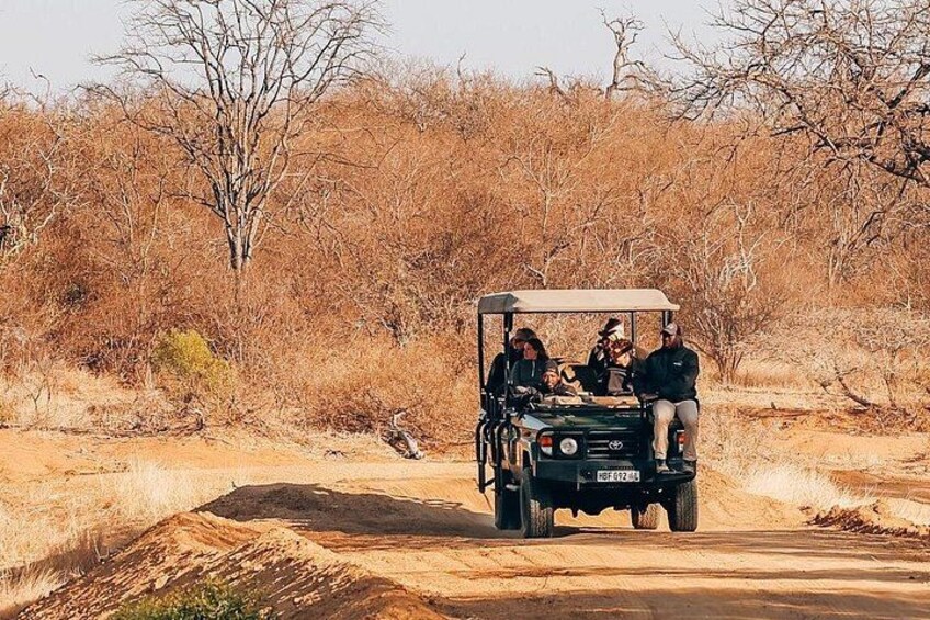 Unforgettable Big 5 Sunset Safari in Hoedspruit 1