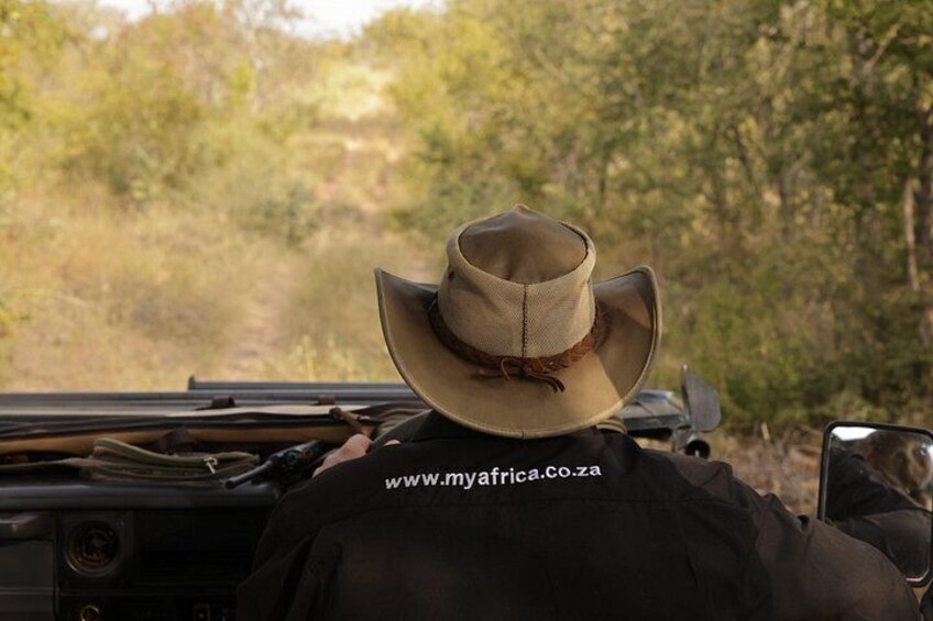 En person med en cowboyhatt som kör ett fordon genom ett skogsområde. 3