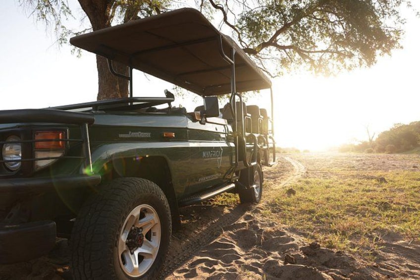 Unforgettable Big 5 Sunset Safari in Hoedspruit 2