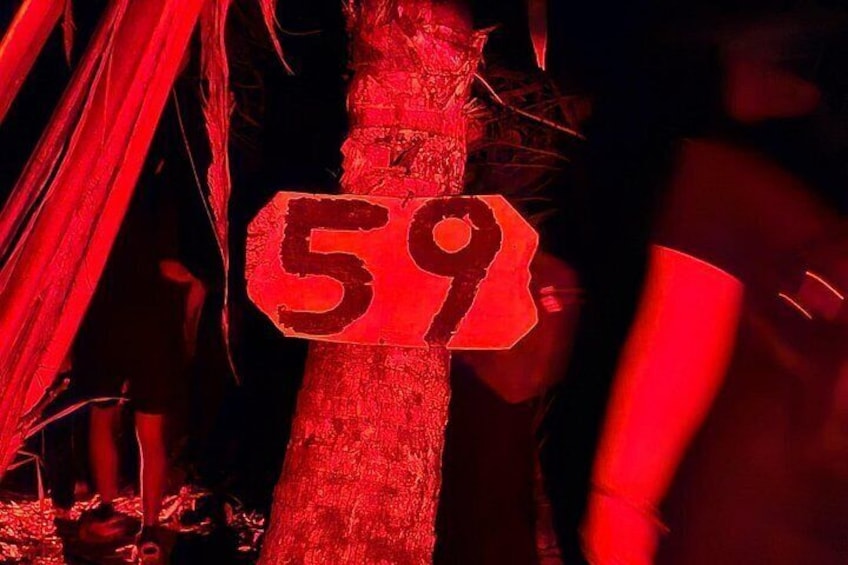 A tree with a sign displaying the number 59. 5