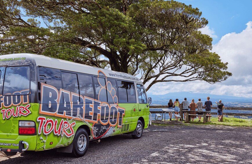 A green tour bus parked under a large tree with people standing at a picnic table. 2