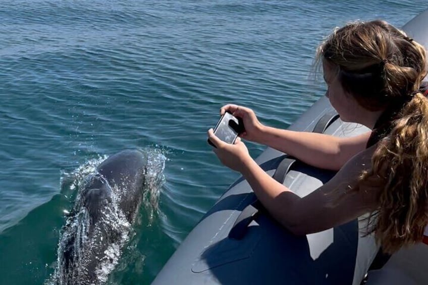 A person on a boat taking a photo of a whale in the water. 3