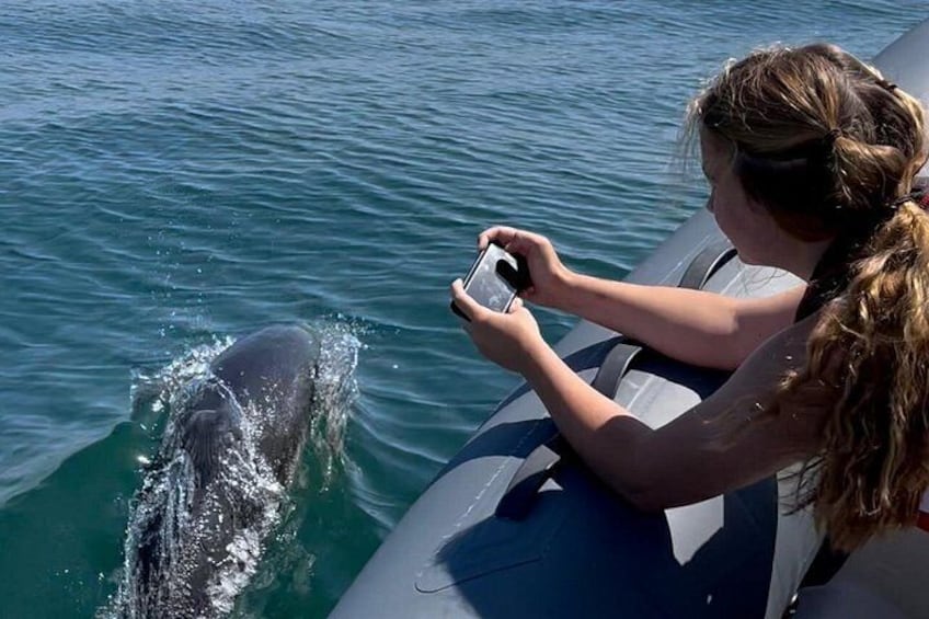 Private Coastal Boat Tour in Torquay 4