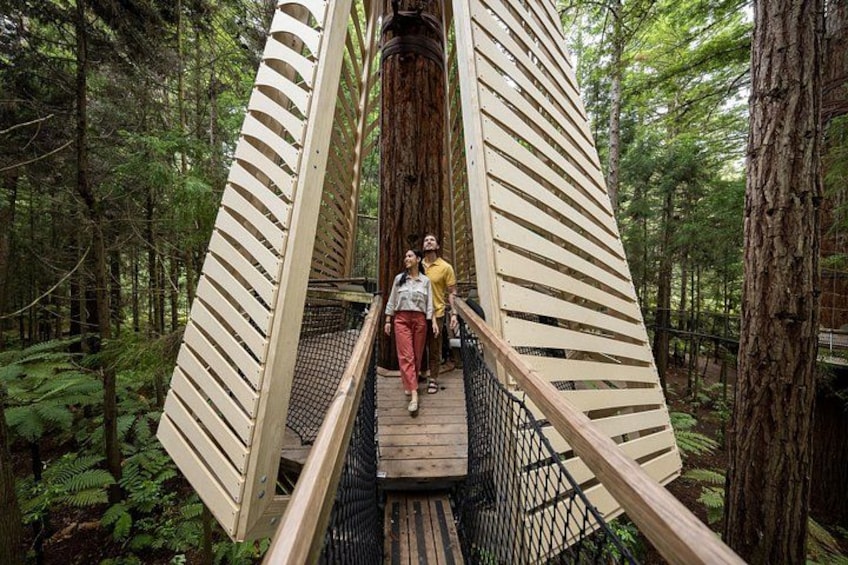 Rotorua: Redwoods Adventure 3-Hours 4