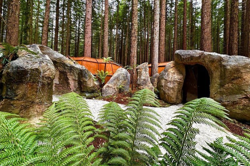 Rotorua: Redwoods Adventure 3-Hours 3