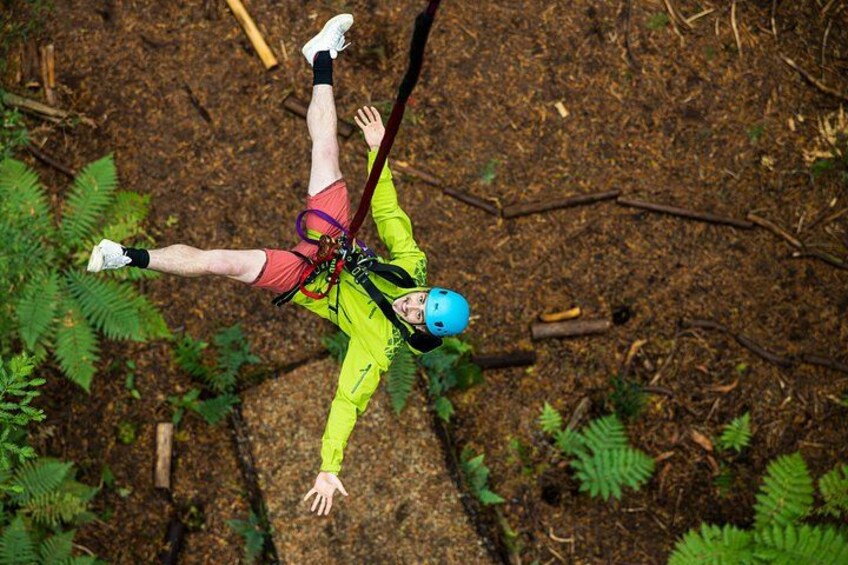 Rotorua: Redwoods Adventure 3-Hours 1