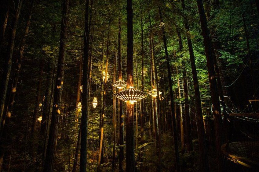 Rotorua: Redwoods Adventure 3-Hours 5