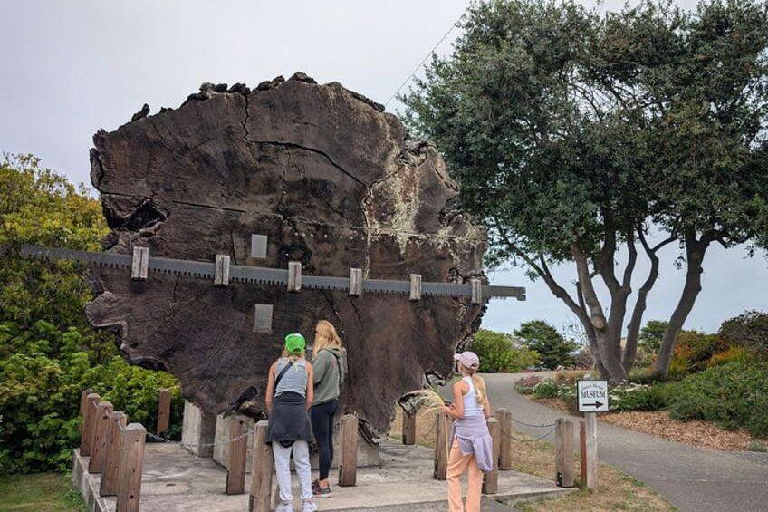 Fort Bragg California Scavenger Hunt Walking Activity and Game 2