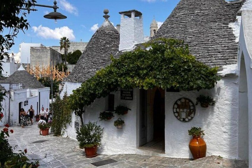 A white building with a stone roof, potted plants, and a sign. 2