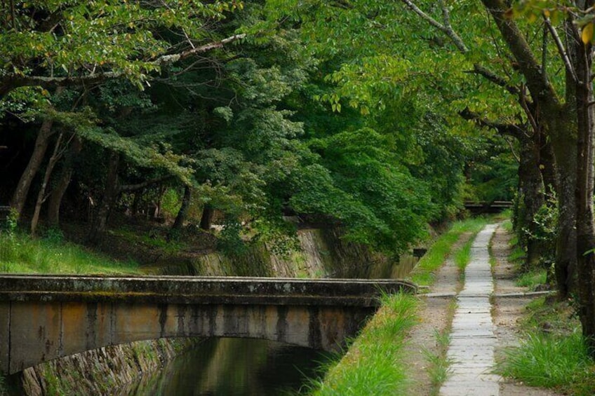 A narrow waterway flanked by dense greenery and a concrete embankment. 4