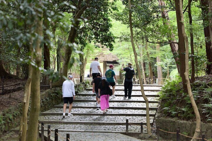 A group of people walking on a stone staircase surrounded by trees in a forested area. 2