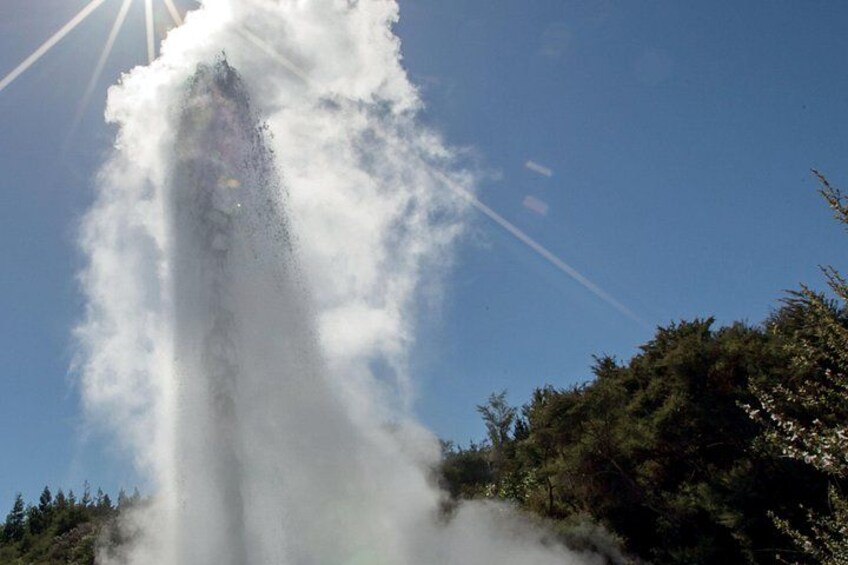 Rotorua Māori Village and Activity Combinations from Auckland 5