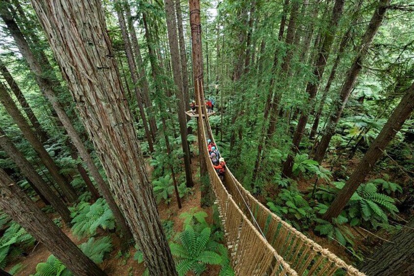 Rotorua Māori Village and Activity Combinations from Auckland 4