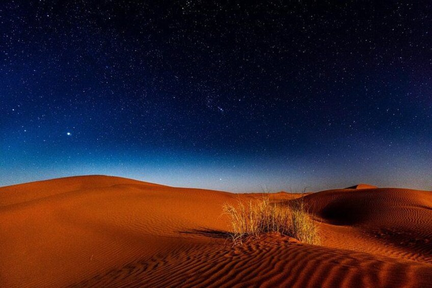 A desert landscape at night with a starry sky. 3