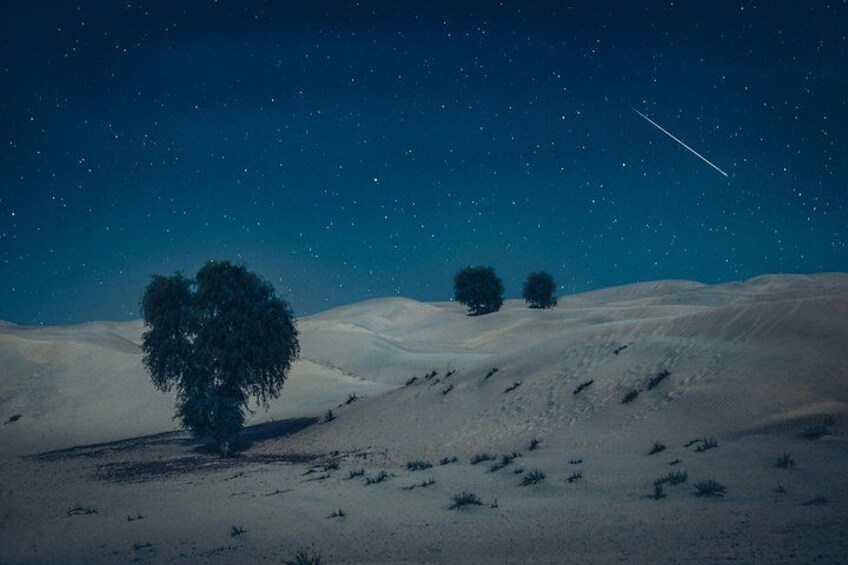 A snowy landscape with three trees and a starry night sky. 2