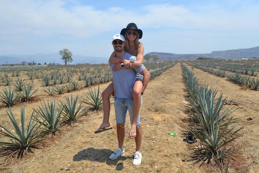 Full Day Tour to Tequila and Amatitán with Fun and Culture 4