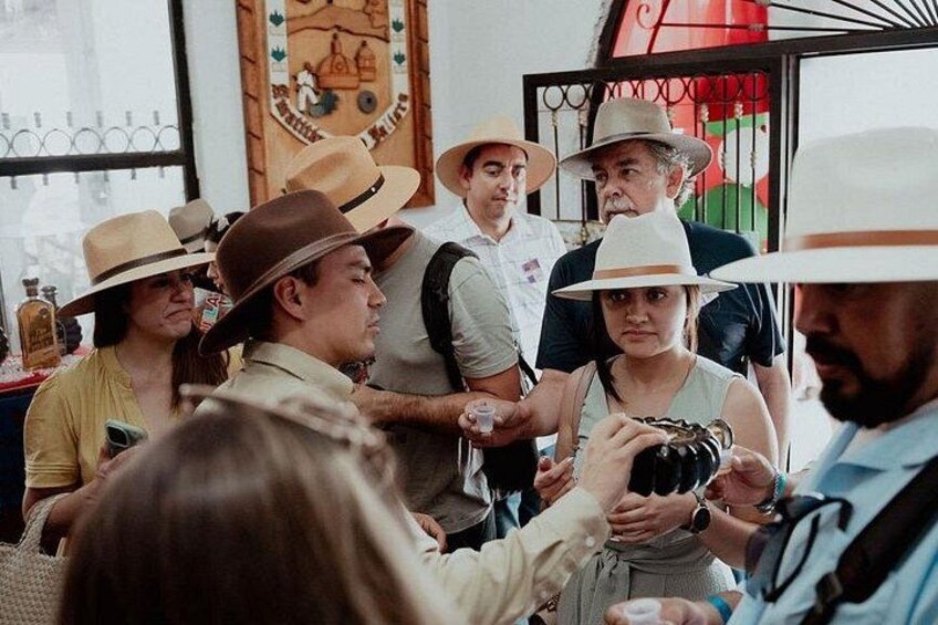 Full Day Tour to Tequila and Amatitán with Fun and Culture 2