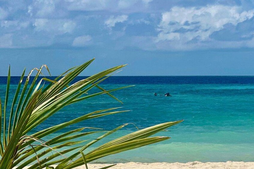 Maldives Escape: 4 Days of Beach and Relaxation 3