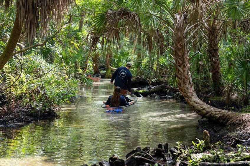 A river surrounded by dense tropical vegetation, with a person paddling a small boat. 4