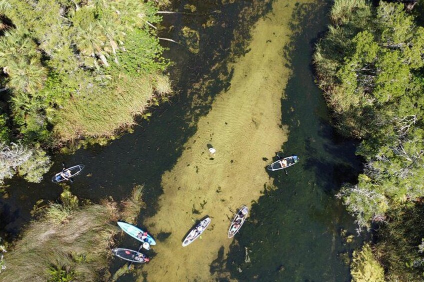 A river with boats and surrounding greenery. 5
