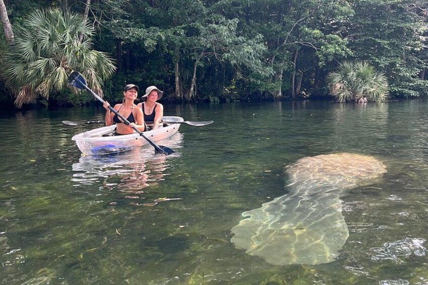 Two people in a small boat on a river with a large turtle swimming nearby. 1