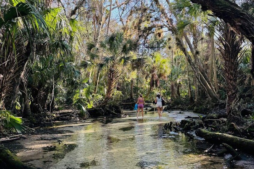 A natural waterway surrounded by dense tropical vegetation. 3