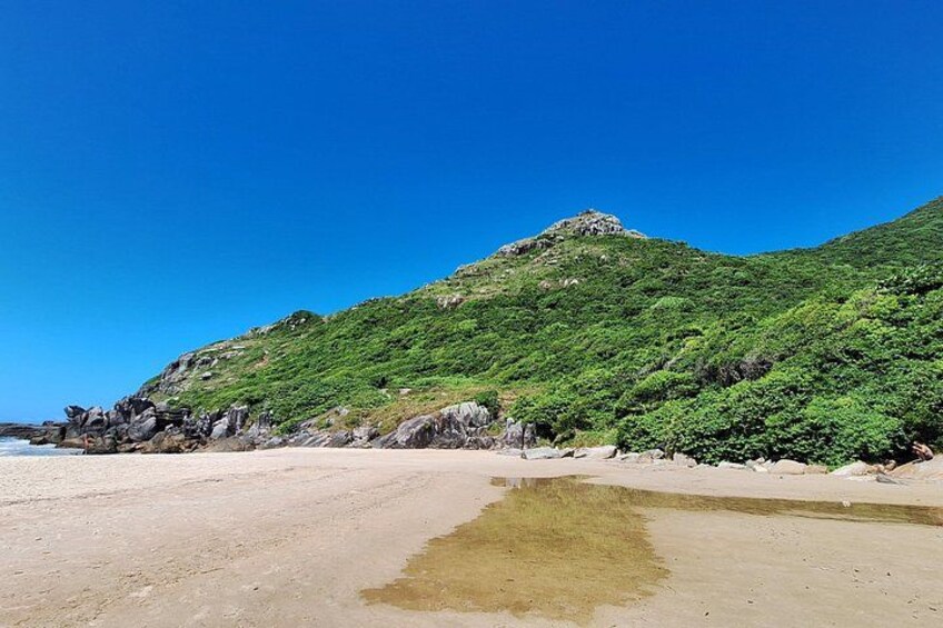 Una playa con cielo despejado, orilla arenosa y una colina verde al fondo. 4