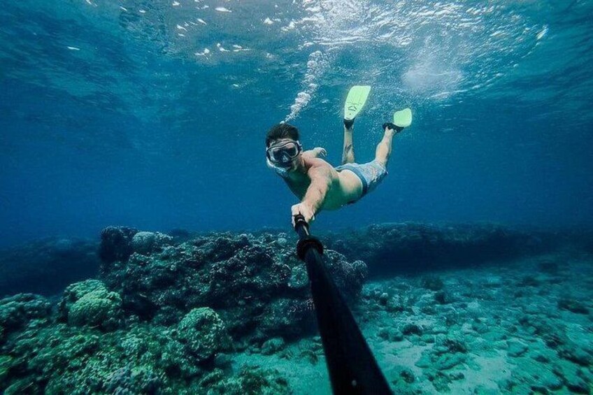 A person underwater, swimming with fins and a snorkel. 4