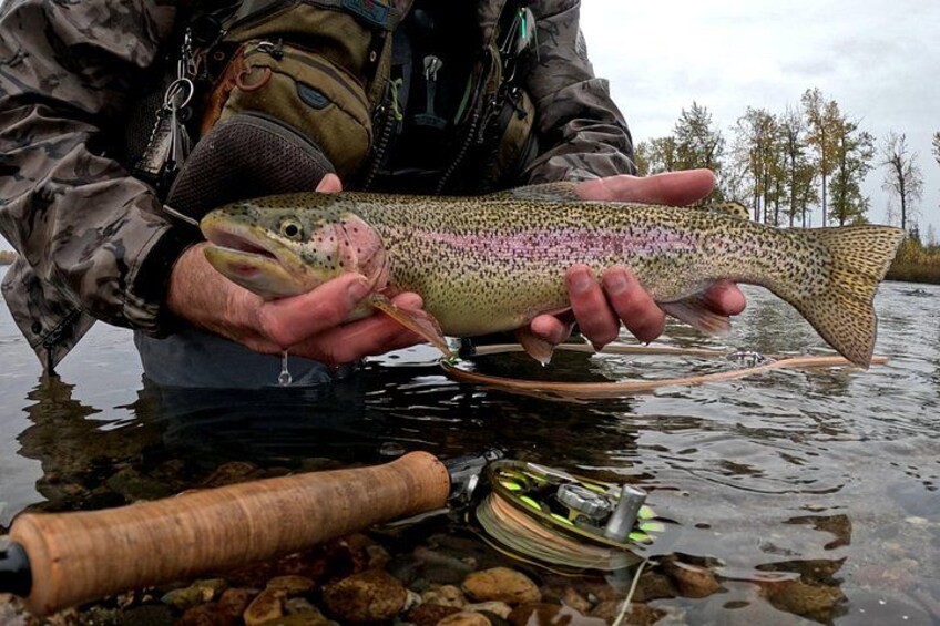 Nice rainbow! 4
