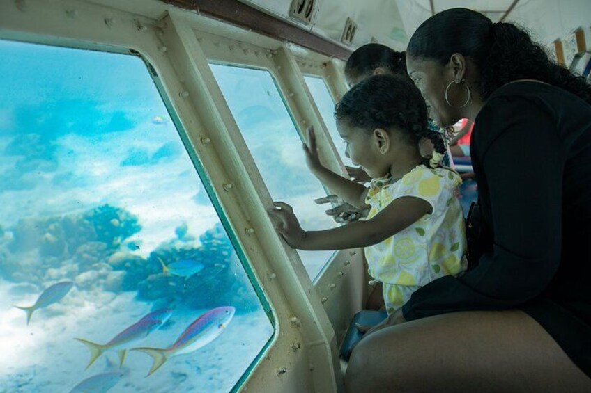 A person looking out of a window at fish swimming in the water. 4