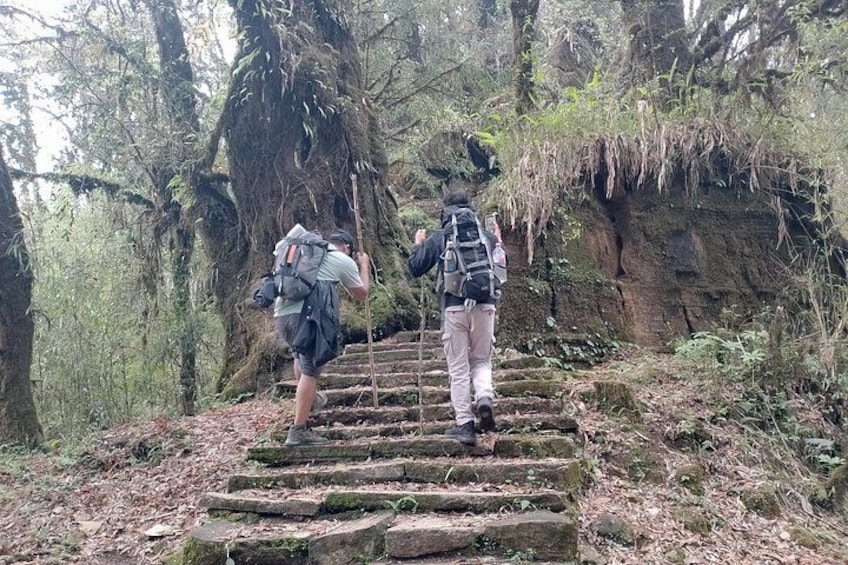 Two hikers ascending a moss-covered stone staircase in a forested area. 5