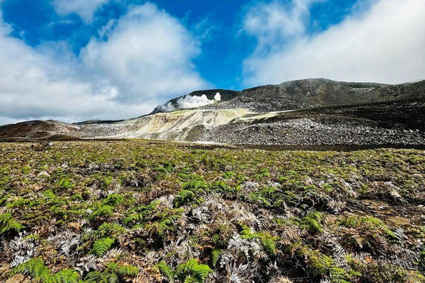 A mountainous landscape with sparse vegetation, a clear sky, and a distant peak. 1