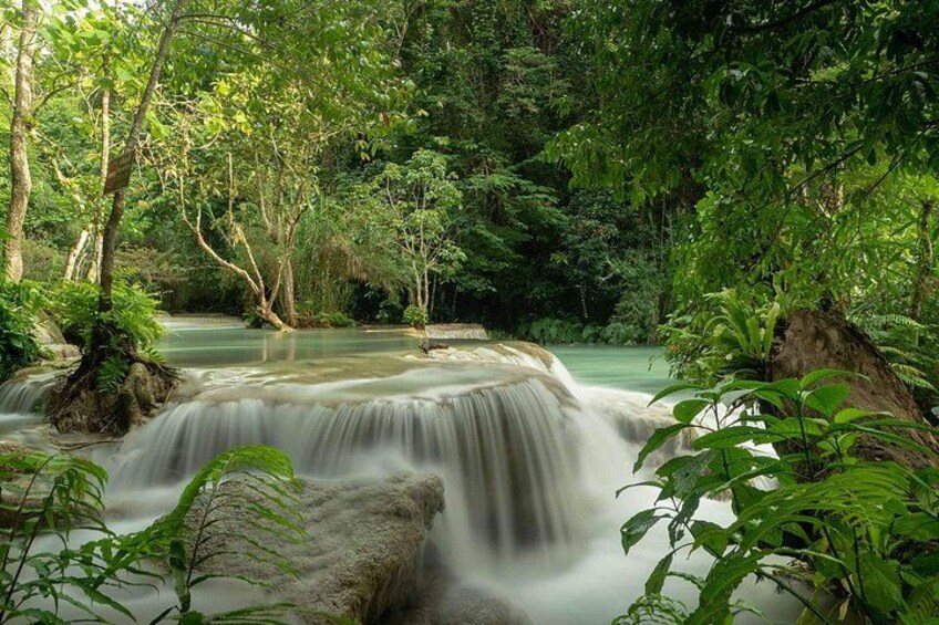 Kuang Si Waterfall, Tree Top Cafe, Ziplining with Lunch 5