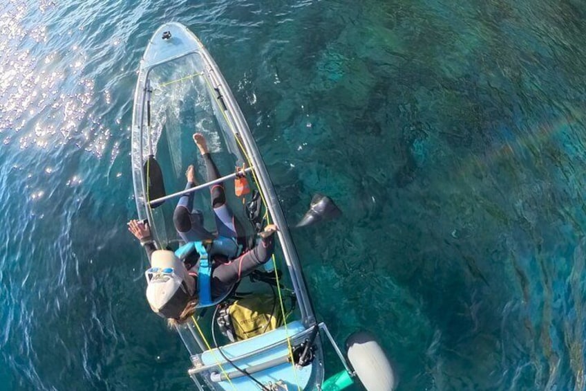 Fuerteventura Transparent Electric Kayaks with Guide 4
