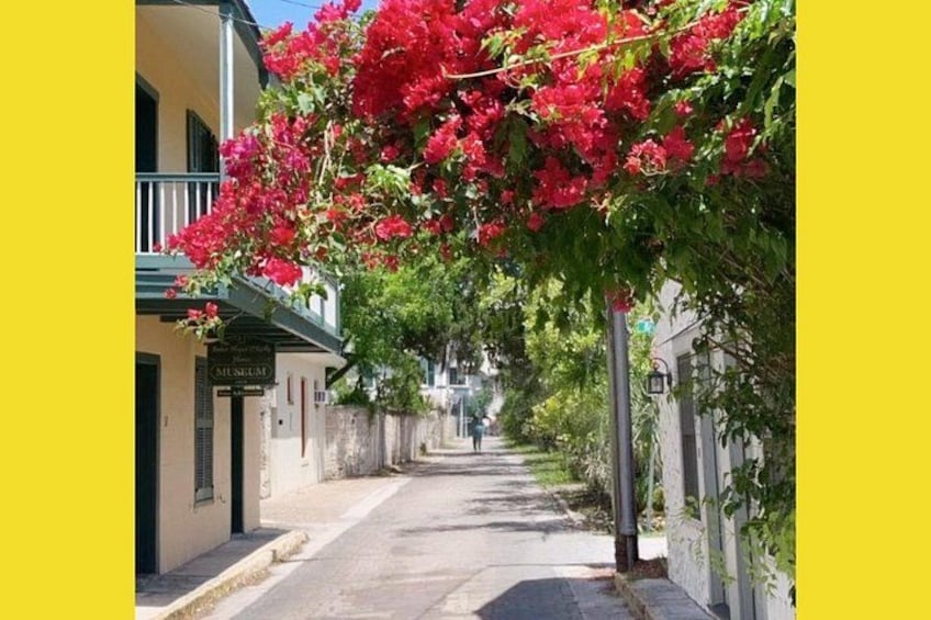 Riding Through History of St.Augustine: Premium Tour with PiCk Up 1