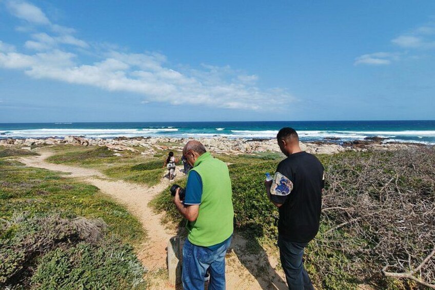 Guided Port Elizabeth Coastal Tour 2